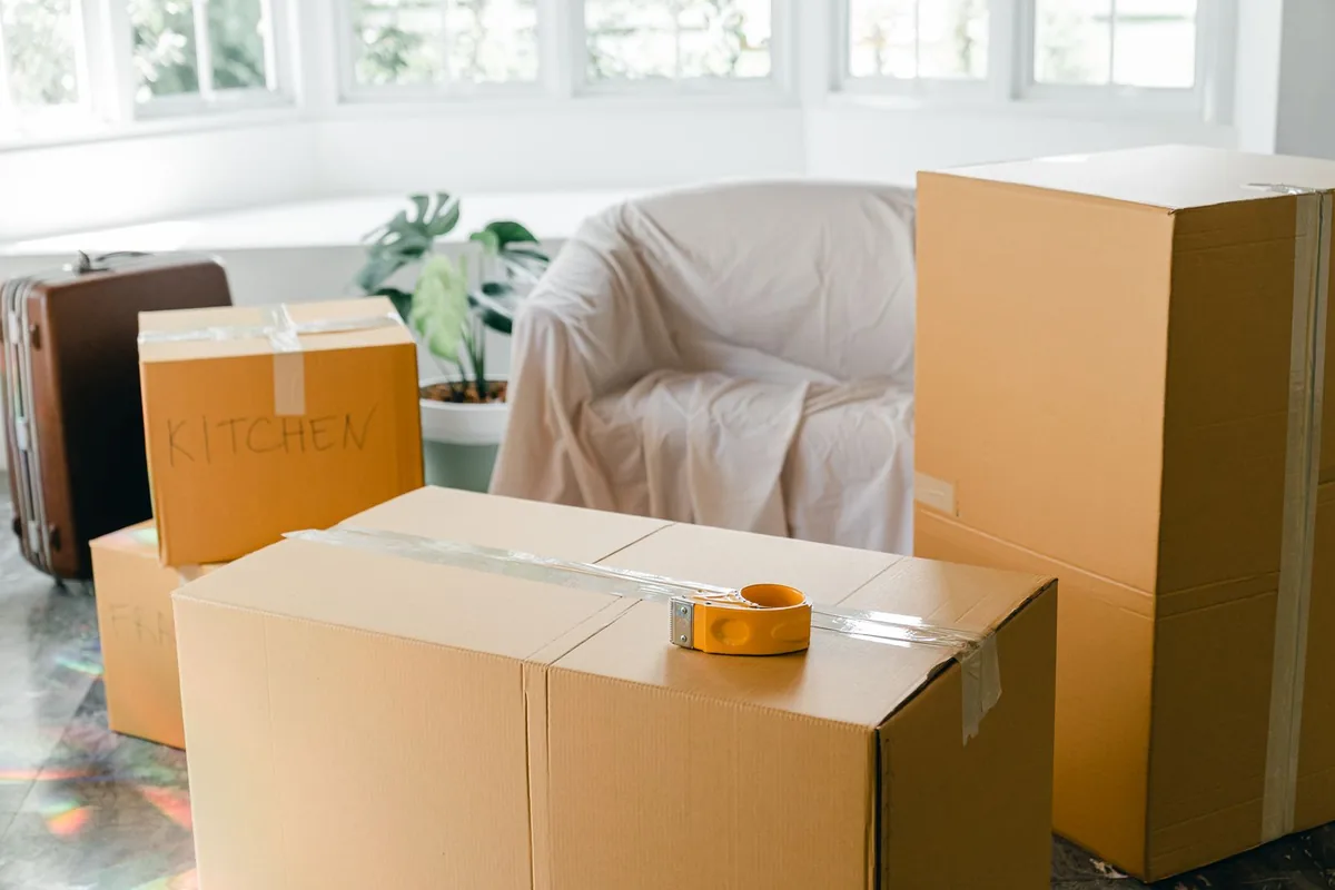 Animal Hoarding Cleanup in Rochester, WA