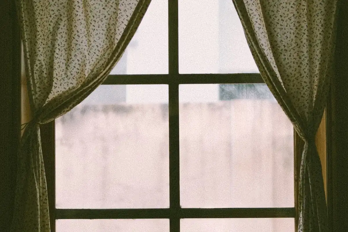 Suicide Cleanup in Rochester, WA